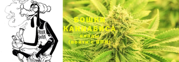 сатива Болхов