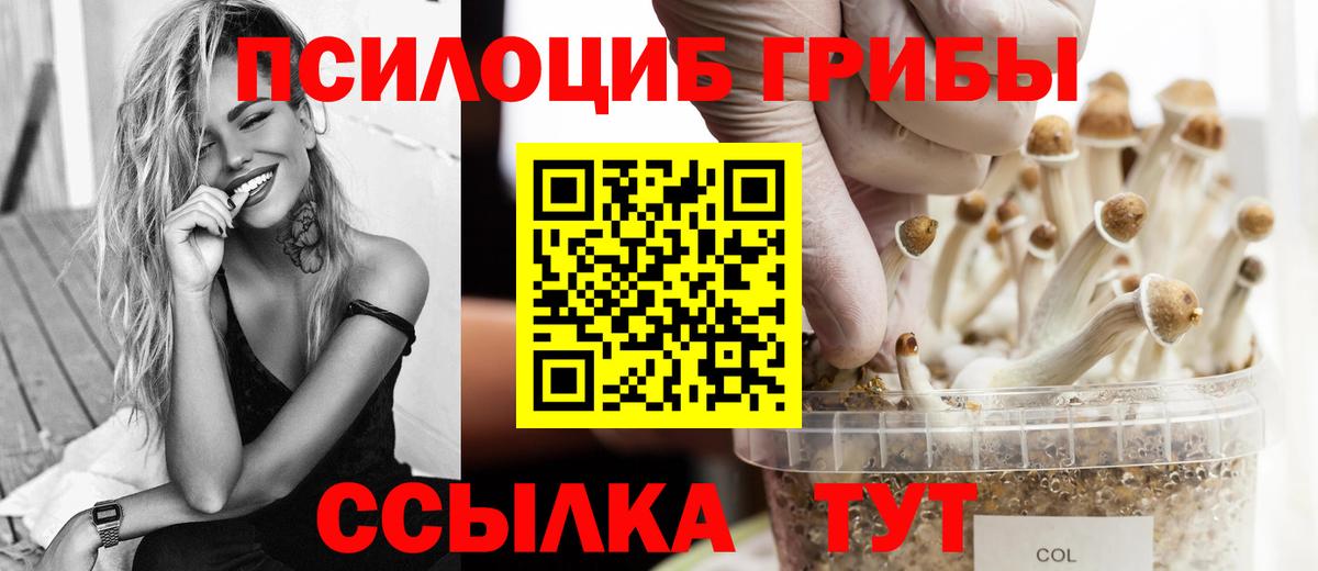 Псилоцибиновые грибы GOLDEN TEACHER  Вход с VPN  Усолье-Сибирское 
