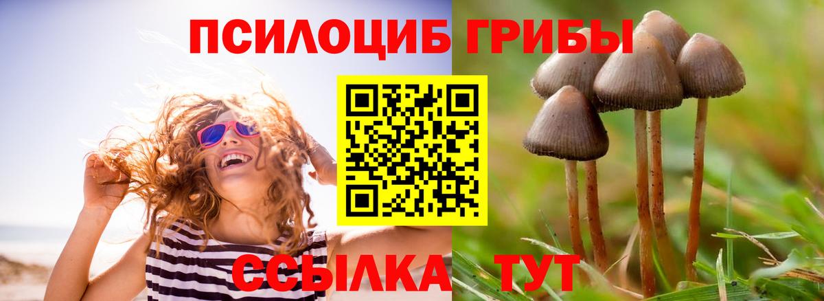Псилоцибиновые грибы мицелий Усолье-Сибирское